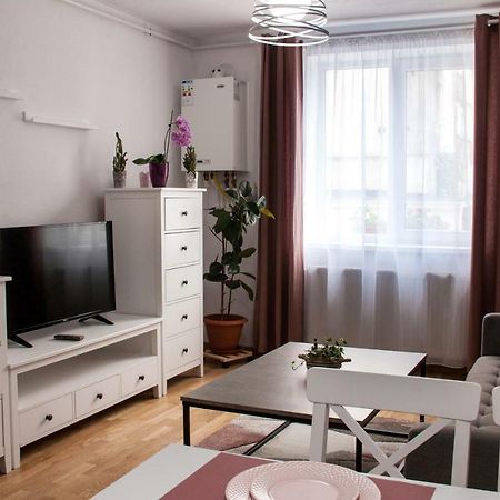 Ana Cristina Apartament Сигишоара Экстерьер фото