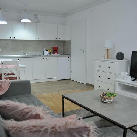 Ana Cristina Apartament Сигишоара Экстерьер фото