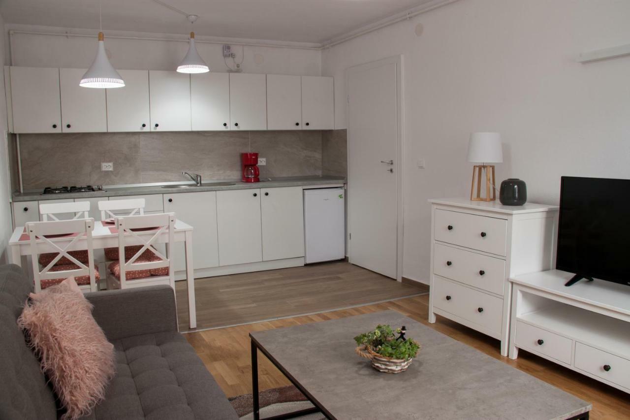 Ana Cristina Apartament Сигишоара Экстерьер фото