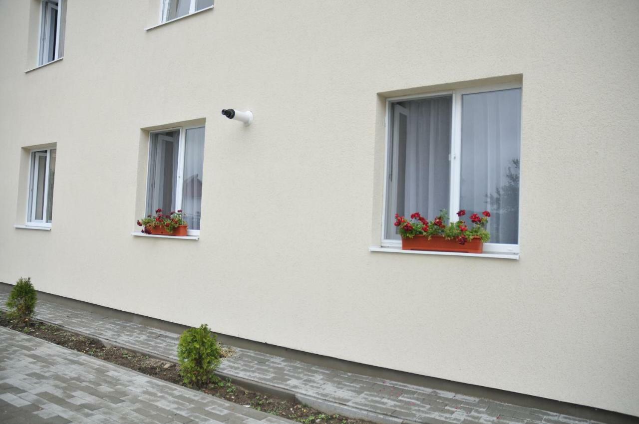 Ana Cristina Apartament Сигишоара Экстерьер фото