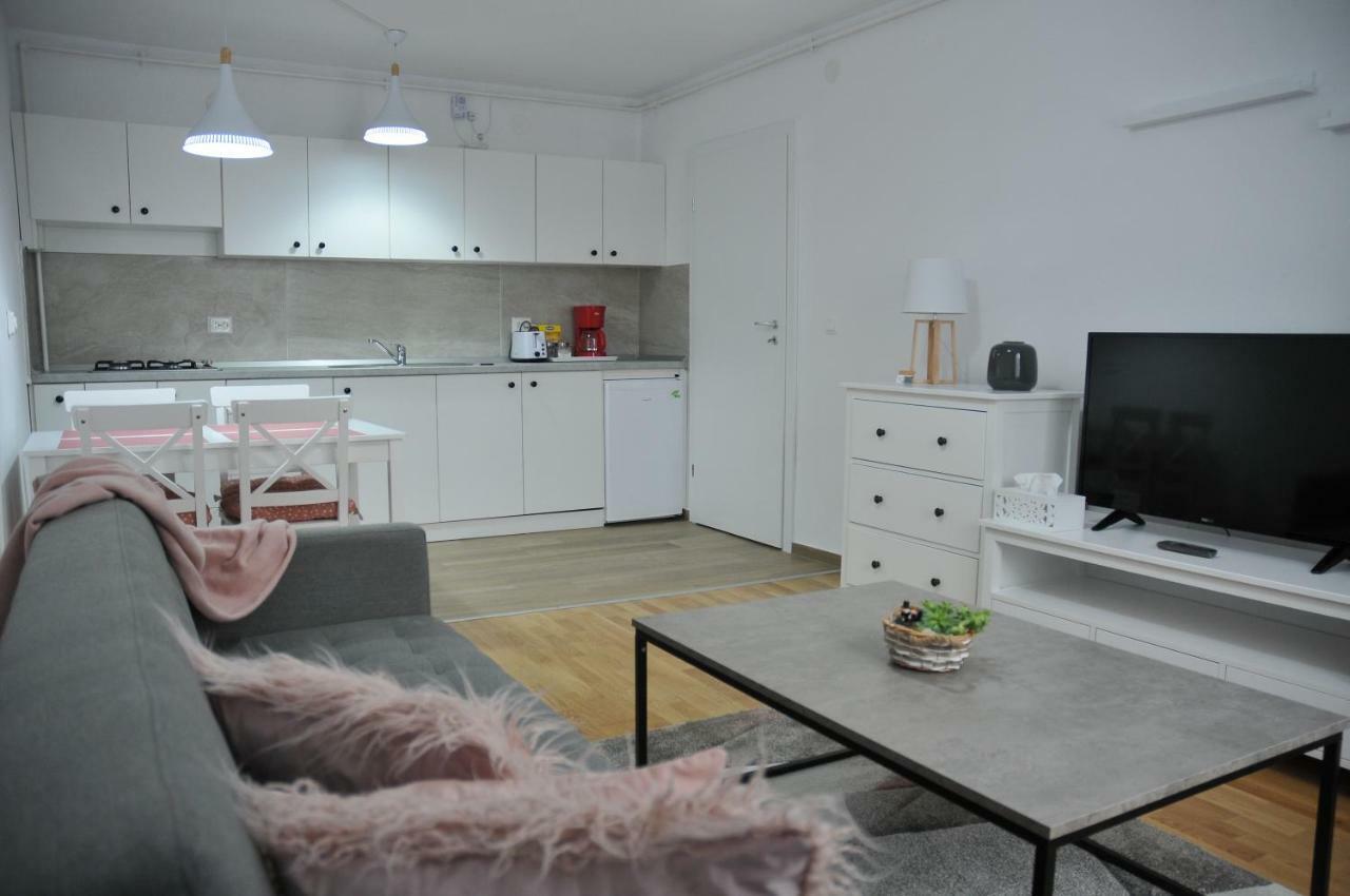 Ana Cristina Apartament Сигишоара Экстерьер фото
