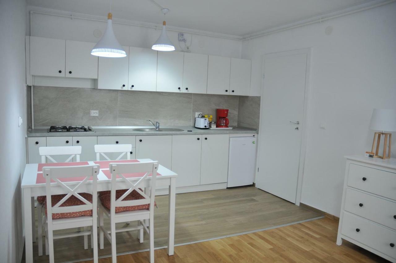 Ana Cristina Apartament Сигишоара Экстерьер фото